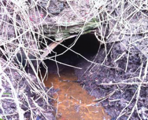 Damaged culvert in Memramcook