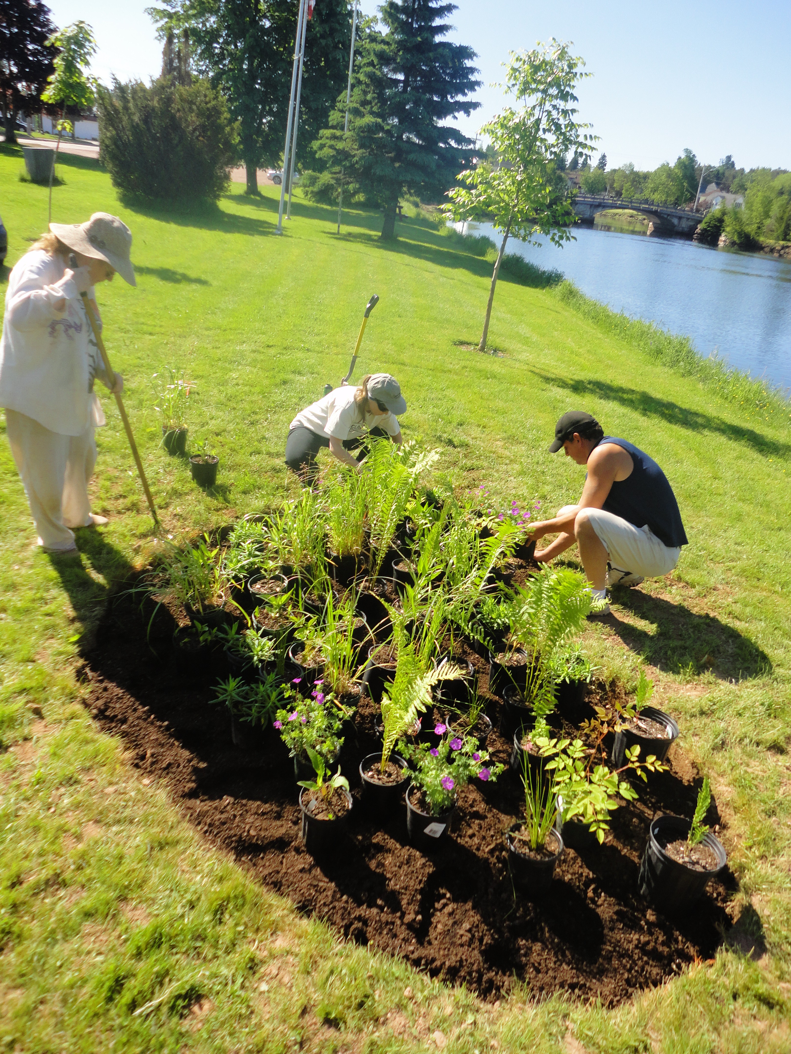 Volunteers planting a rain garden in Port Elgin