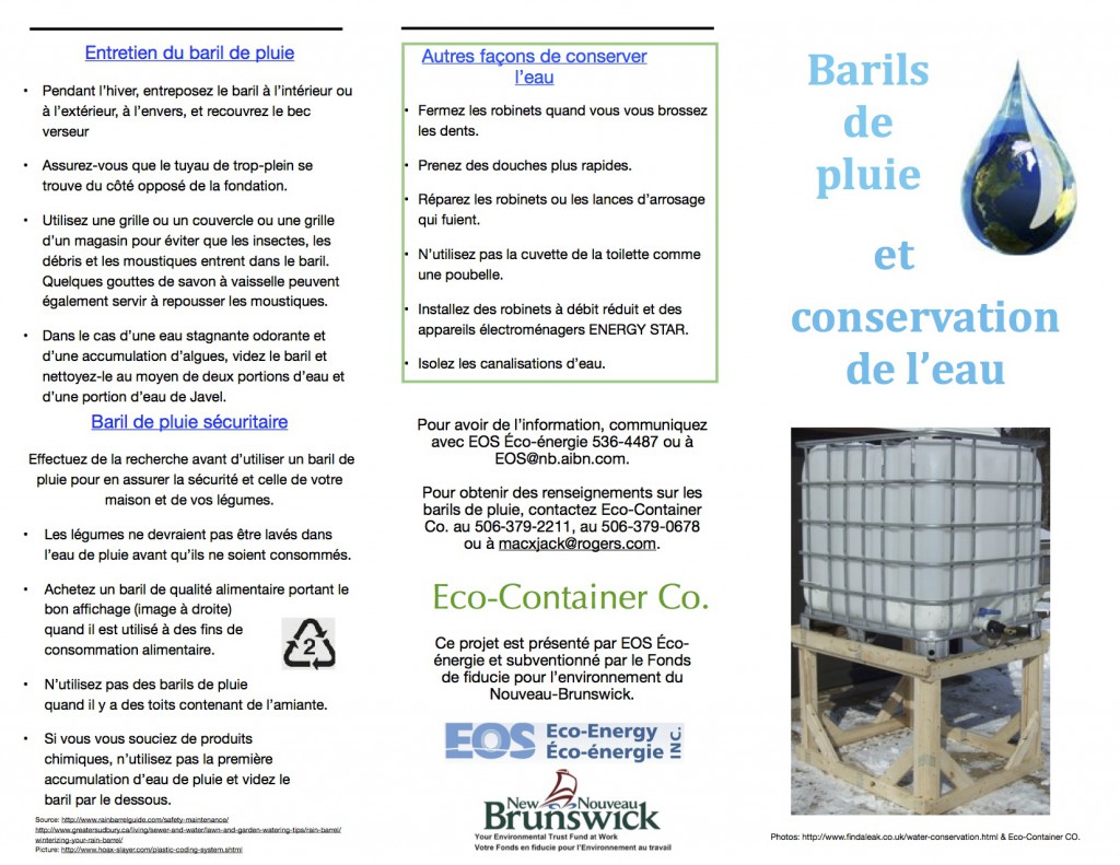 flyer 1
